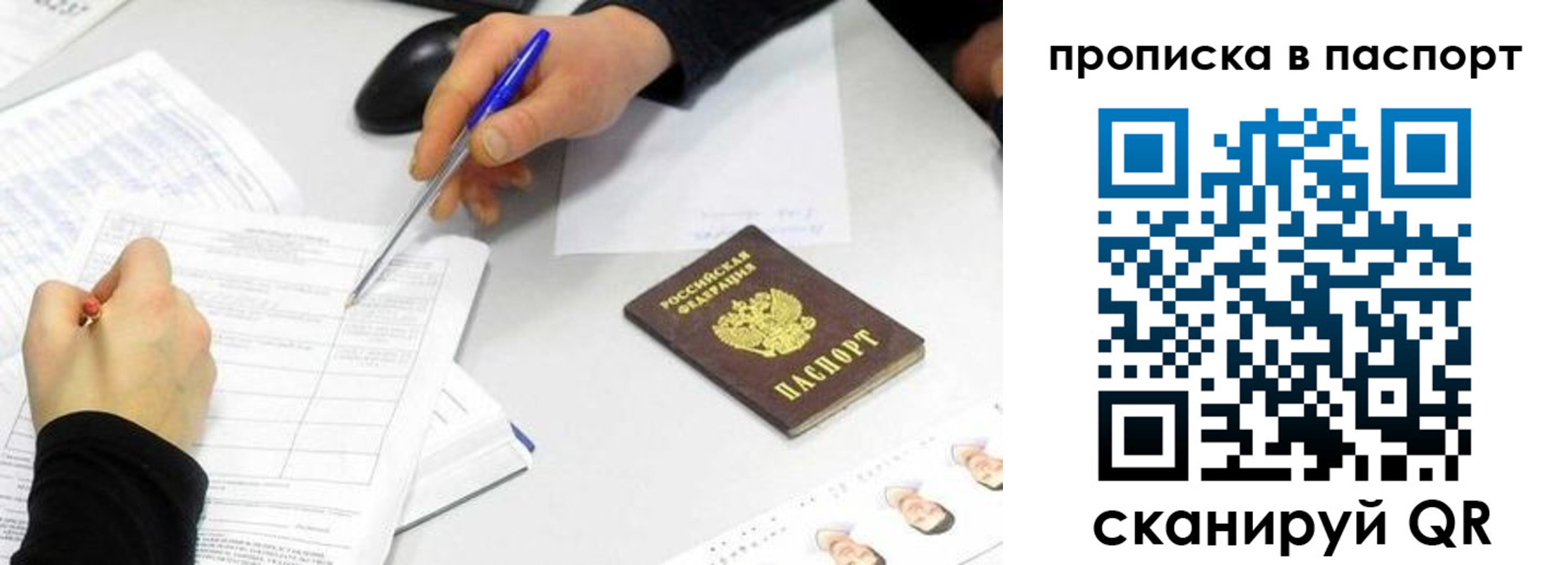 прописка поиск в Королёве