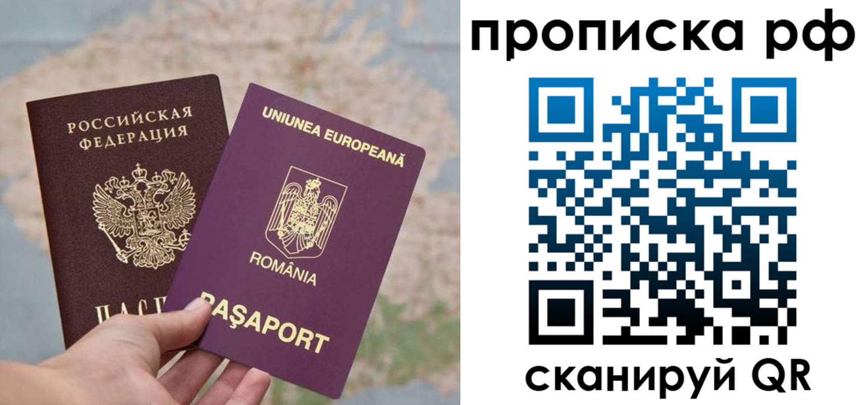 прописка паспорт в Королёве